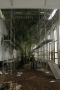 Zchátralý interiér skleníku před rekonstrukcí