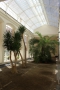 Interiér Palmového skleníku po opravě