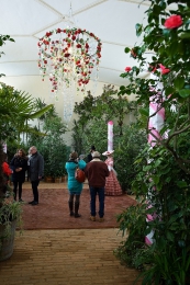 Výstava kamélií již pošesté v kroměřížské Květné zahradě