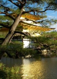 Přednáška: Tradice japonské moderní zahrady