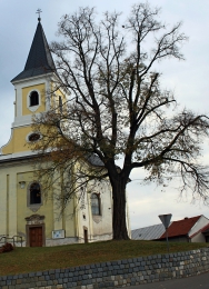 Přednáška | Příběhy stromů Republiky Zlínského kraje