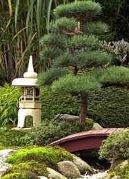 Přednáška | Krása japonských zahrad